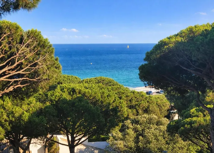 Vue 200 M Des Plages - Djumbo *