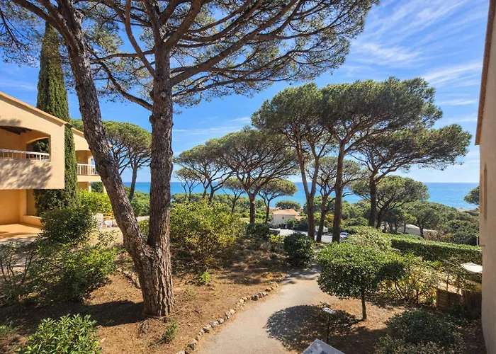 Vue 200 M Des Plages - Djumbo